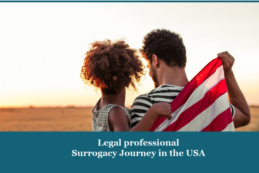 Surrogacy story within the United States