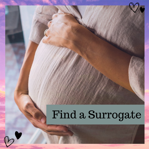 find a surrogate for same sex couple