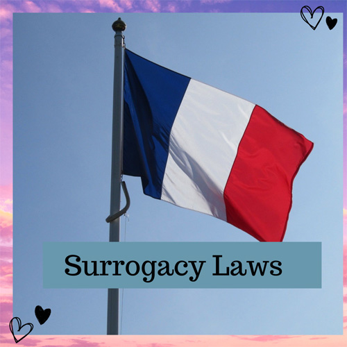 surrogacy laws in france