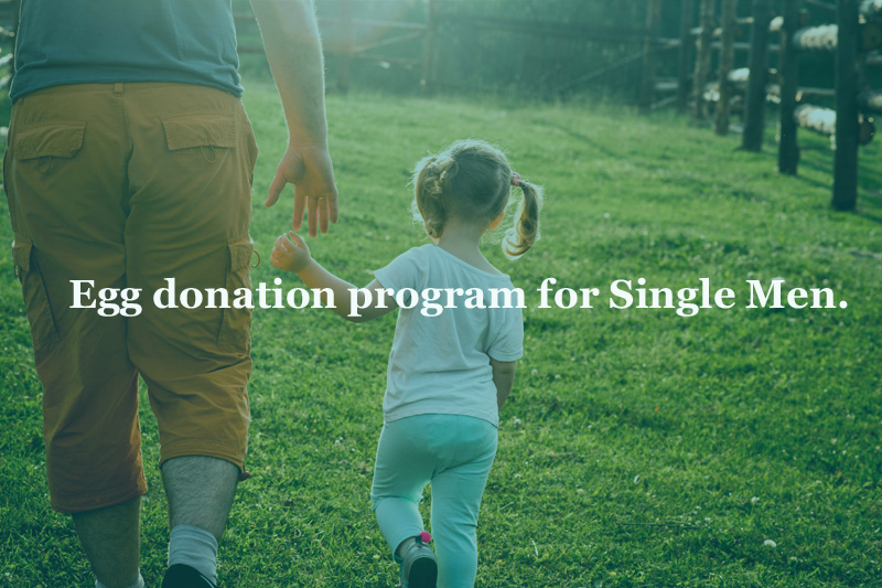egg donor for single men