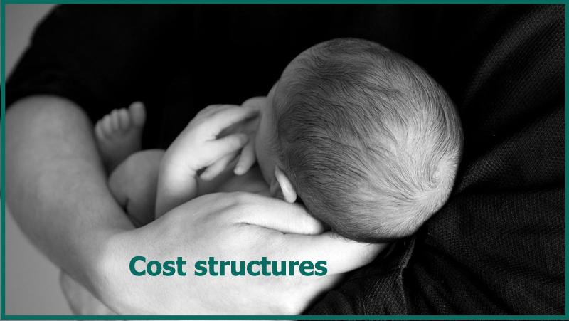 cost of surrogacy in ireland